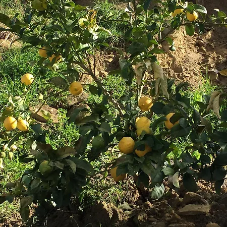 Itxaspe Séjour à la campagne Orio